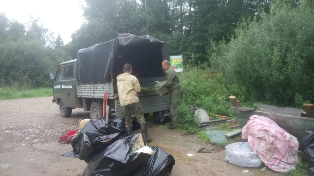 Фото: Комитет лесного хозяйства Московской области