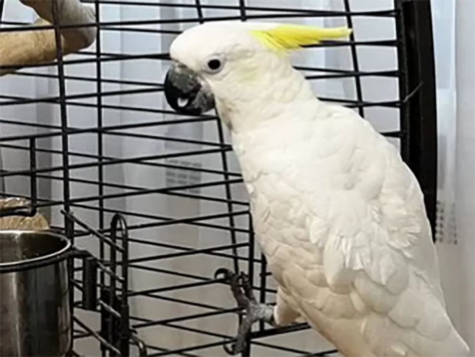 Фото: городская доска объявлений