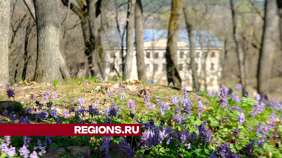 Фото: Мария Панина