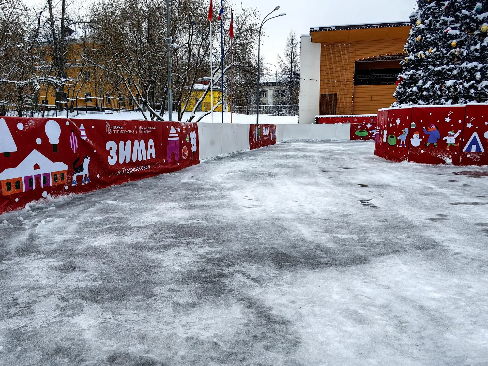 Елена Катасонова