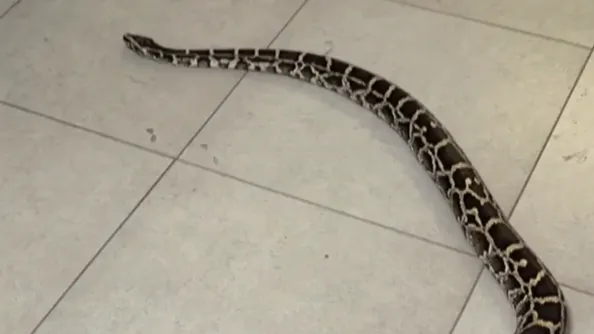 Фото из соцсетей