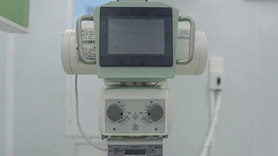 Фото: пресс-служба администрации Орехово-Зуевского округа