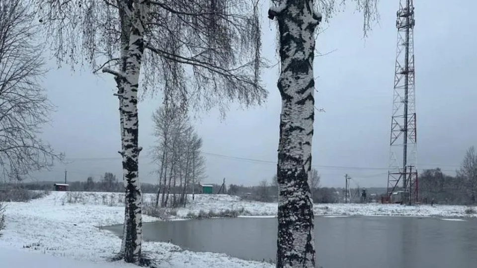 Фото: Министерство экологии и природопользования Московской области