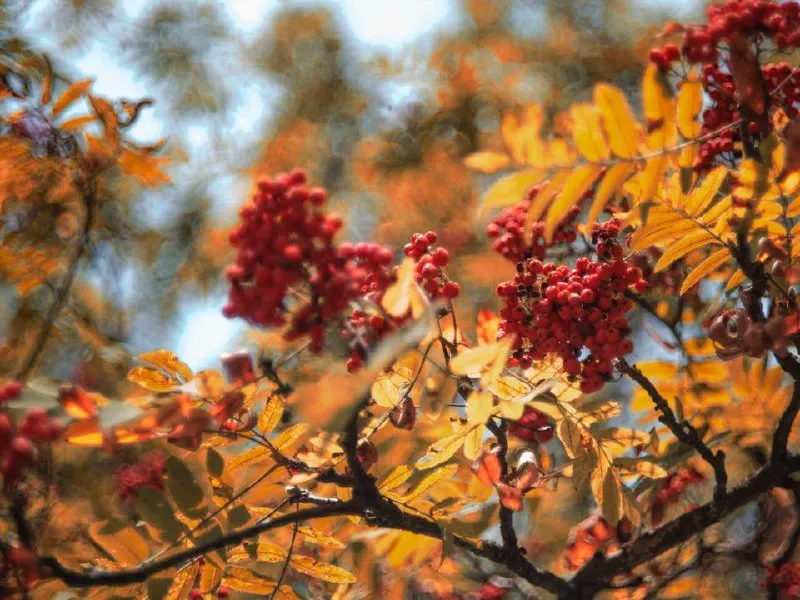 Фото: REGIONS/Наталия Надточая