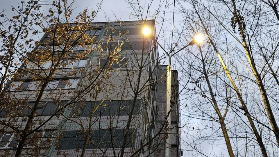 Фото: МедиаБанк Подмосковья/Вероника Горбачева