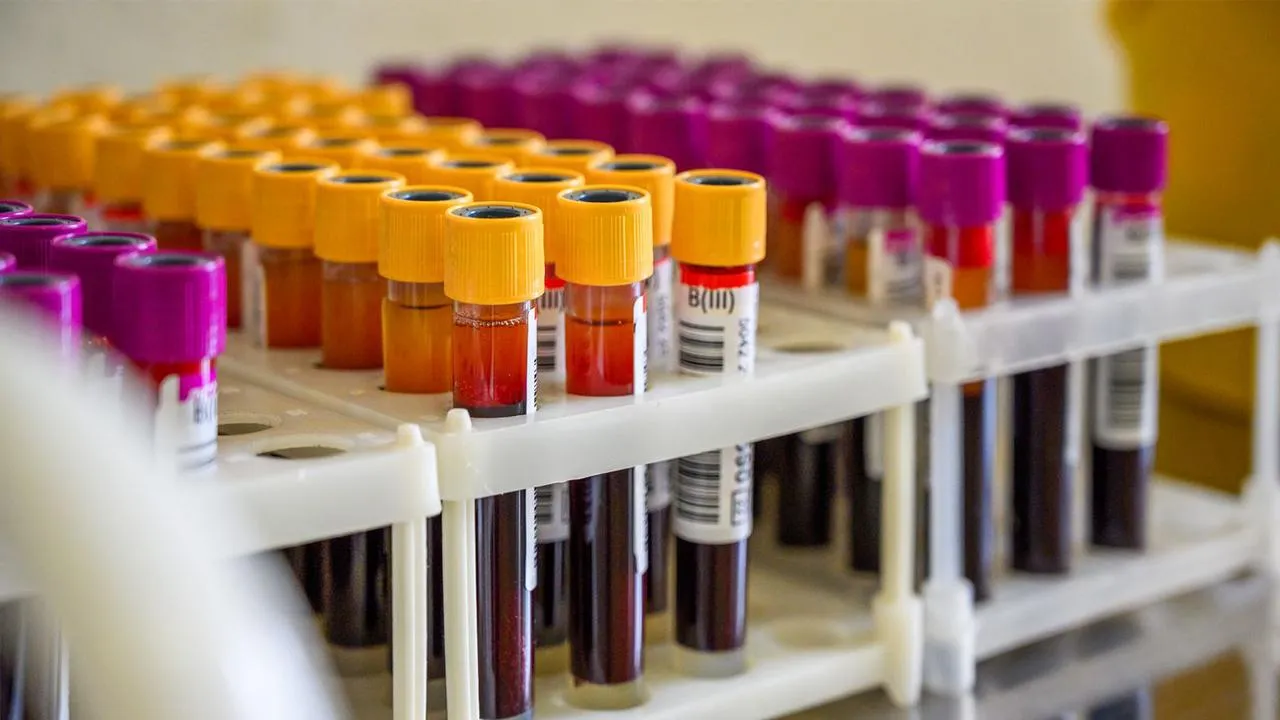 медиасток.рф