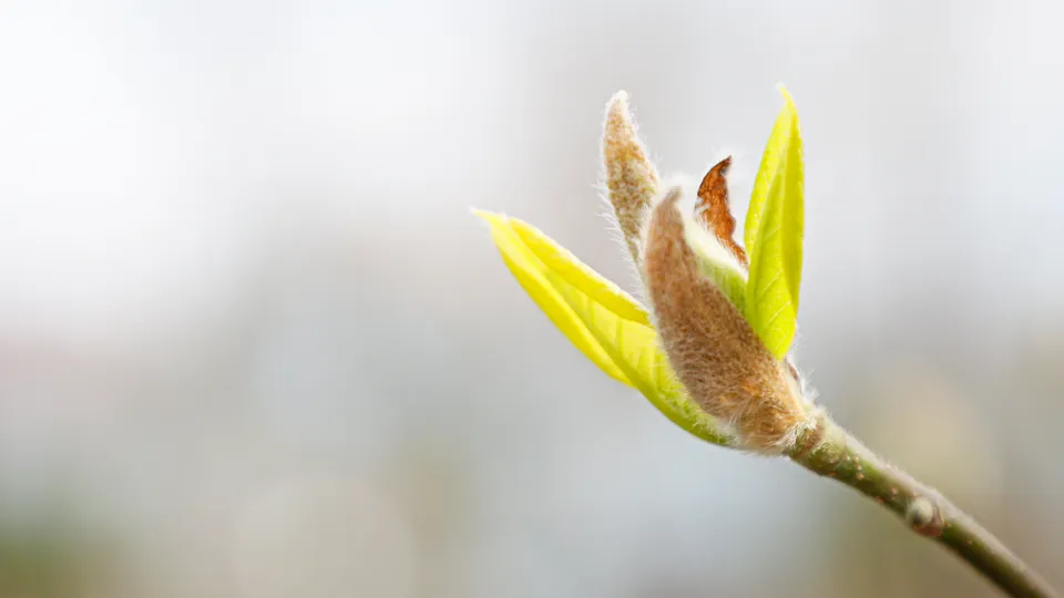 Фото: REGIONS/Наталия Надточая