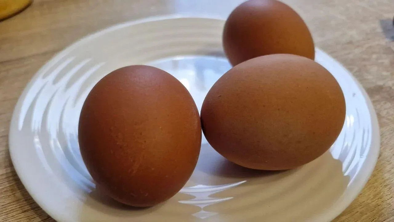 REGIONS/Наталья Надточая