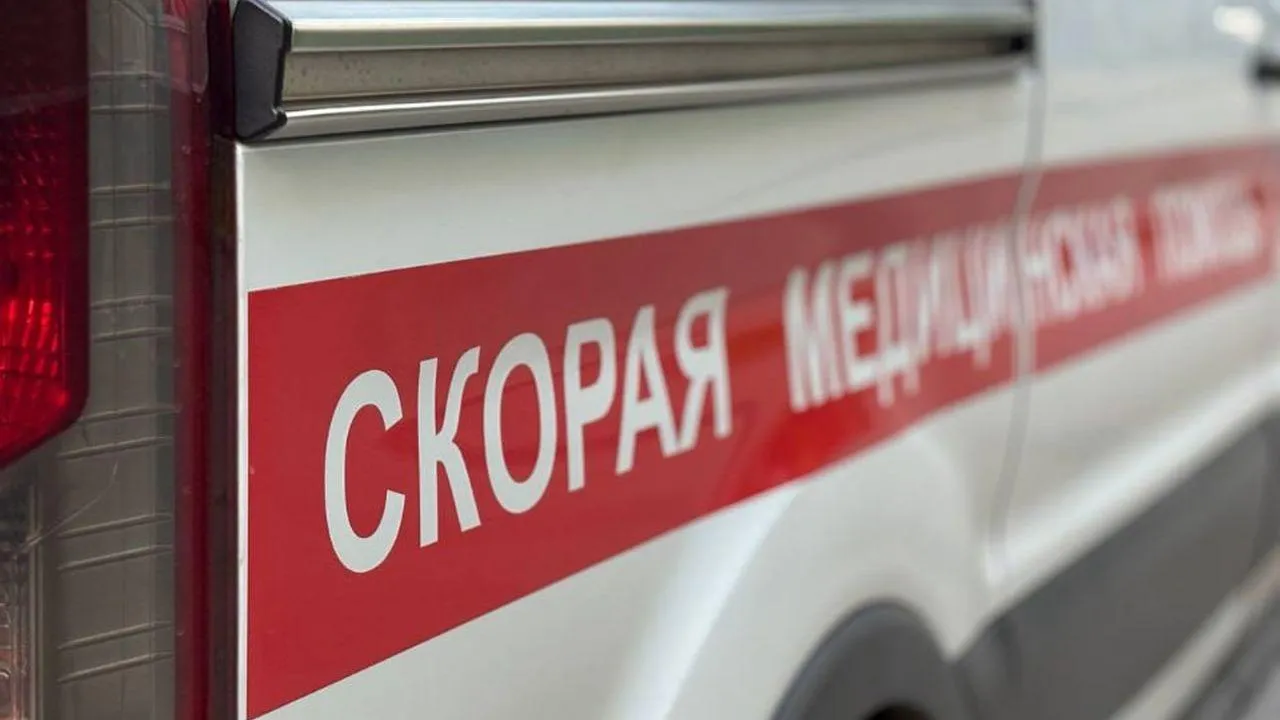 REGIONS/Полина Крачун