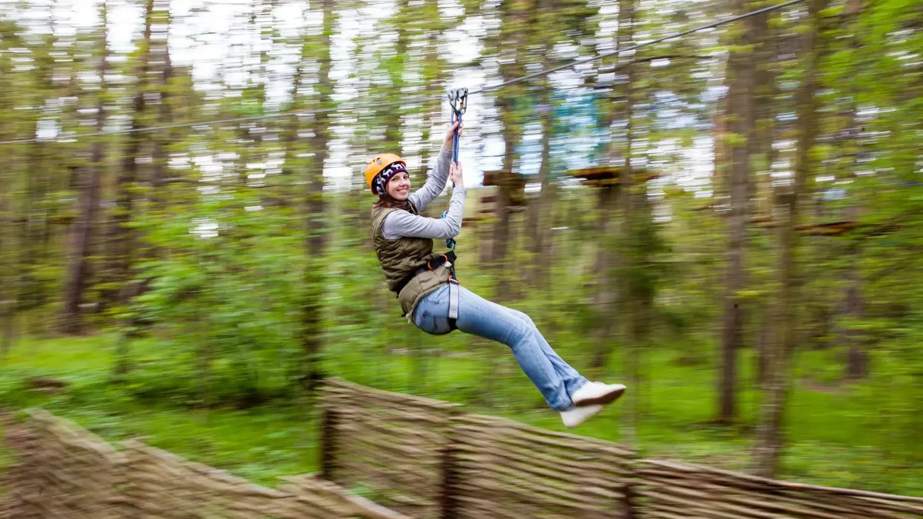 Фото: Приокско-Террасный заповедник