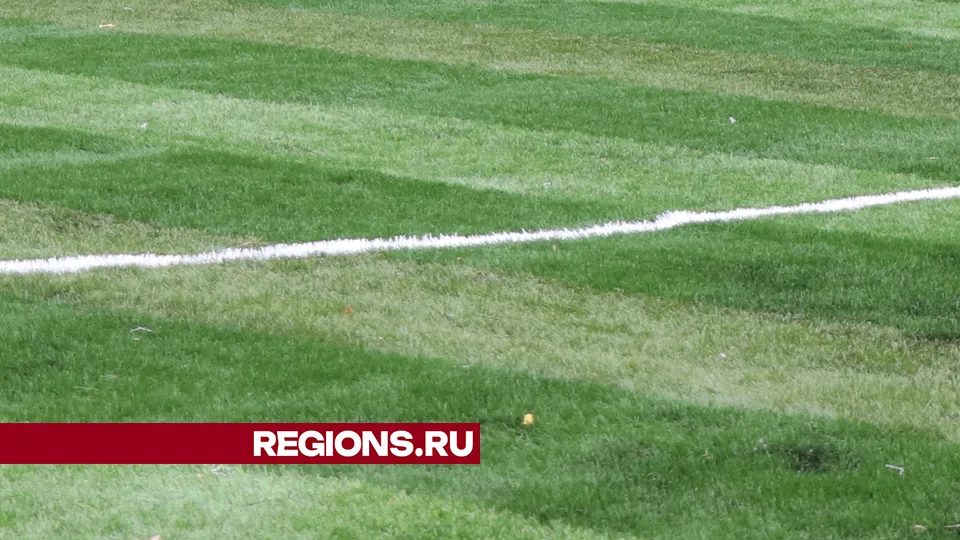 Фото: REGIONS/Василий Тремасов