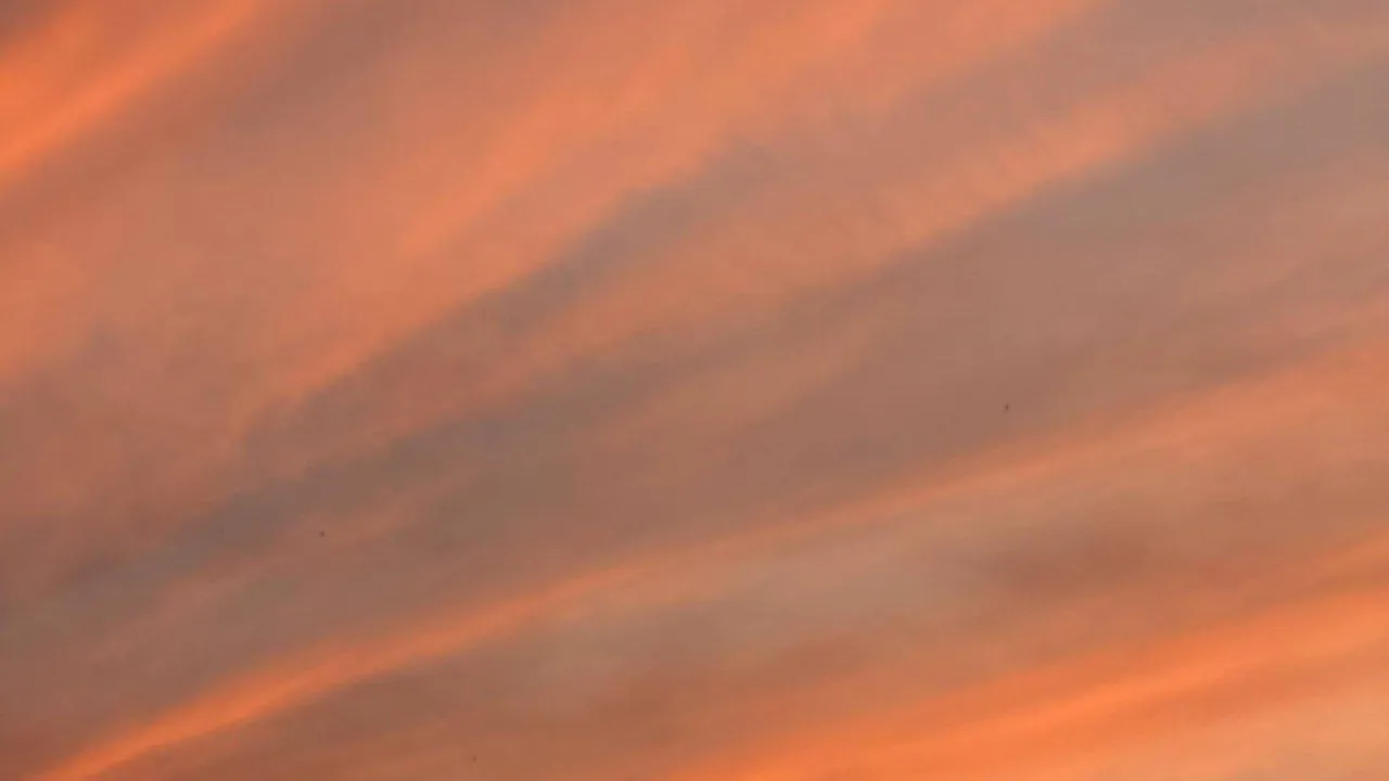 REGIONS/Дарья Кудинова