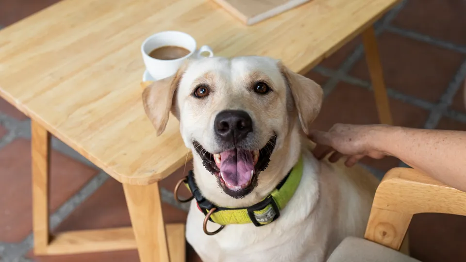 Фото: freepik.com