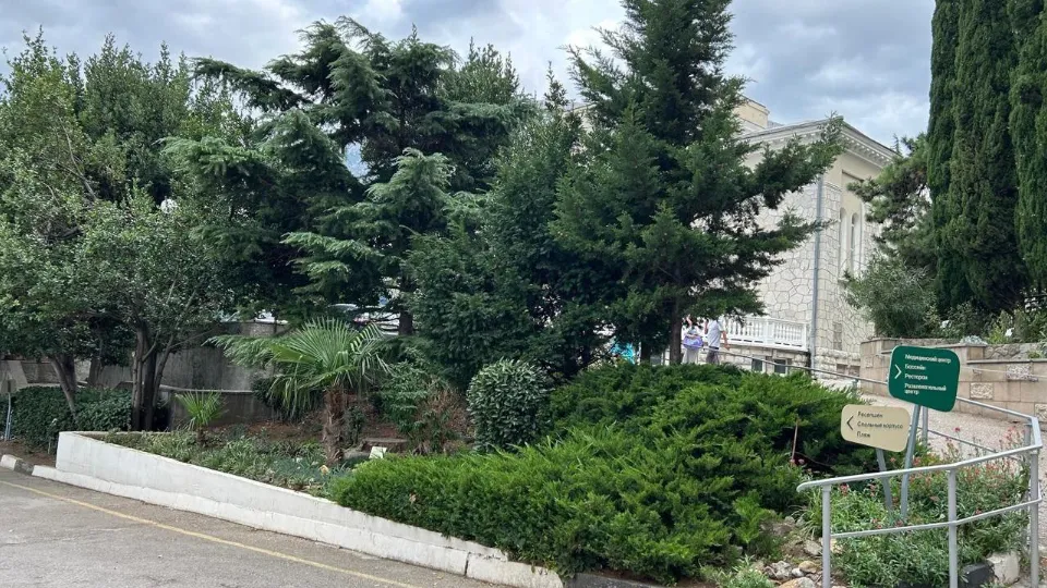 Фото: Министерство социального развития Московской области