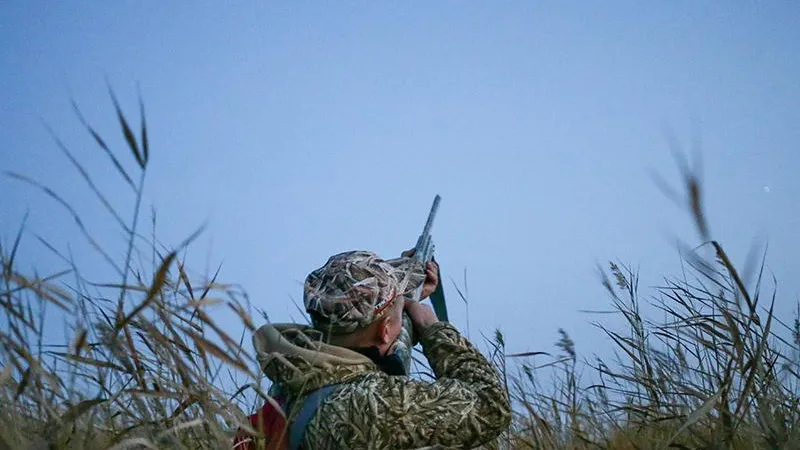Специалисты оценили новые законодательные поправки для добытчиков и охотхозяйств
