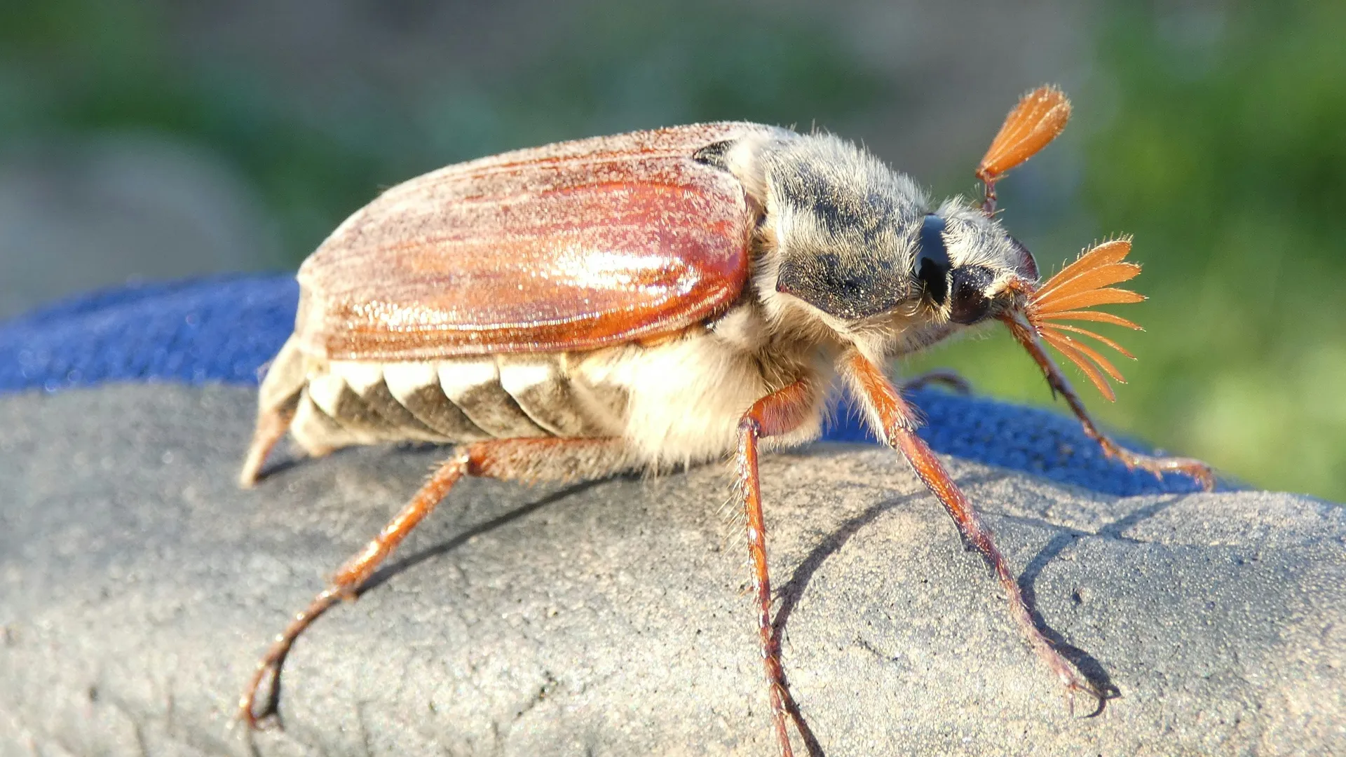 Фото: unsplash.com