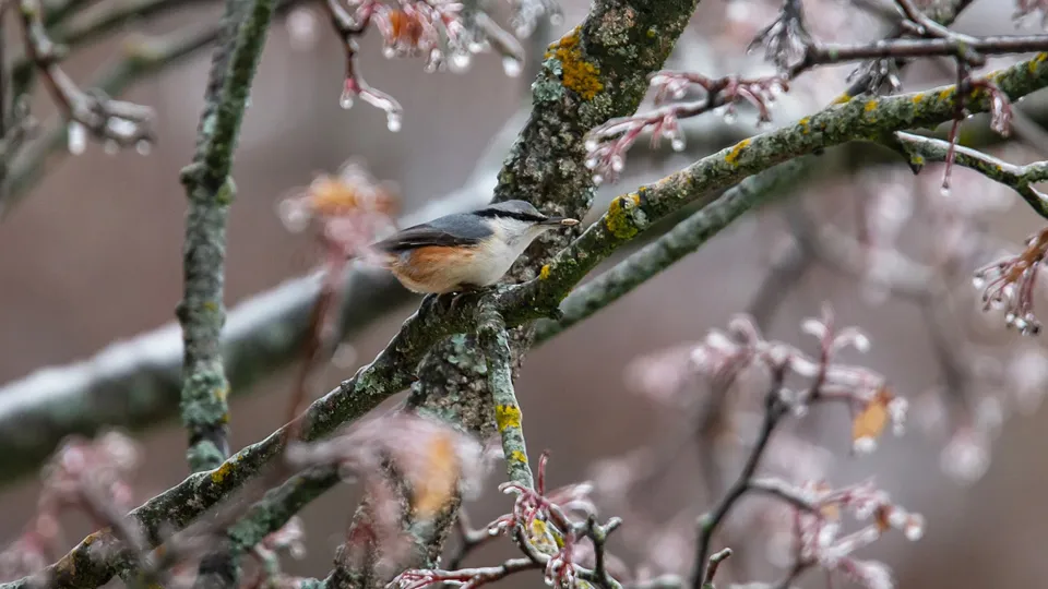 Фото: Антон Кондратюк
