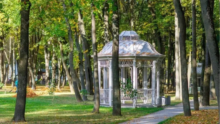 Фото: парк усадьбы Кривякино