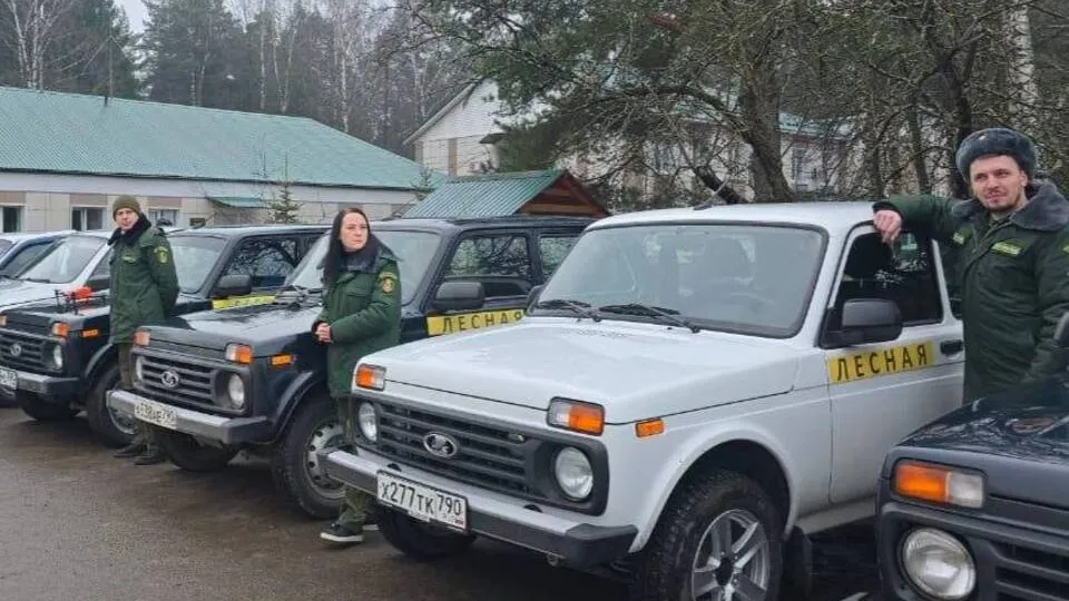 Фото: Орехово-Зуевский филиал ГАУ МО  «Мособллес»