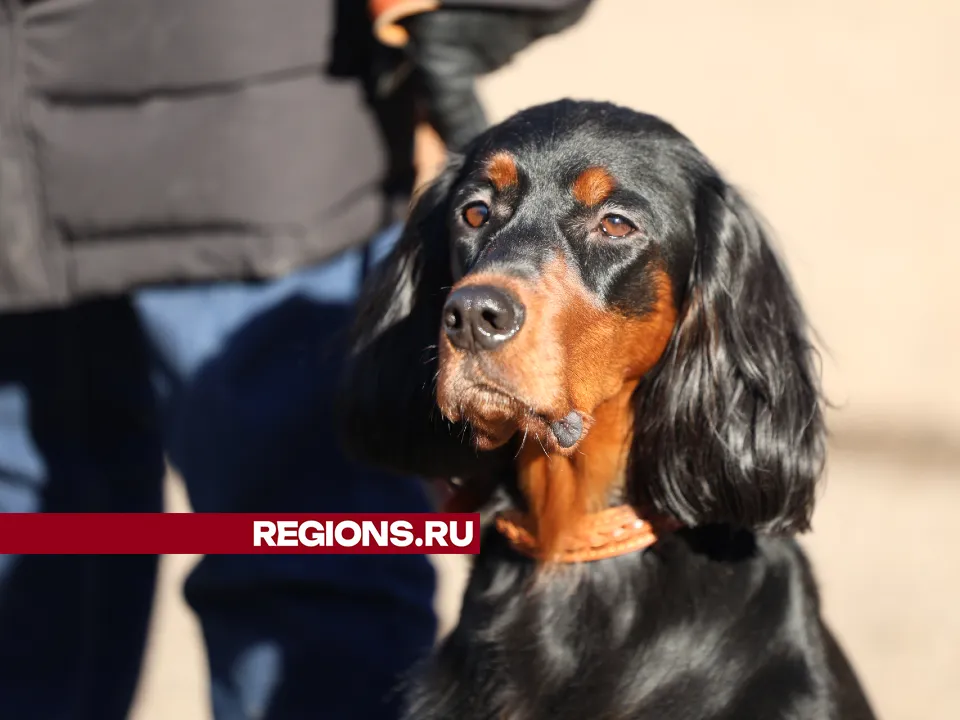 Фото: REGIONS/Ольга Пятикрестовская