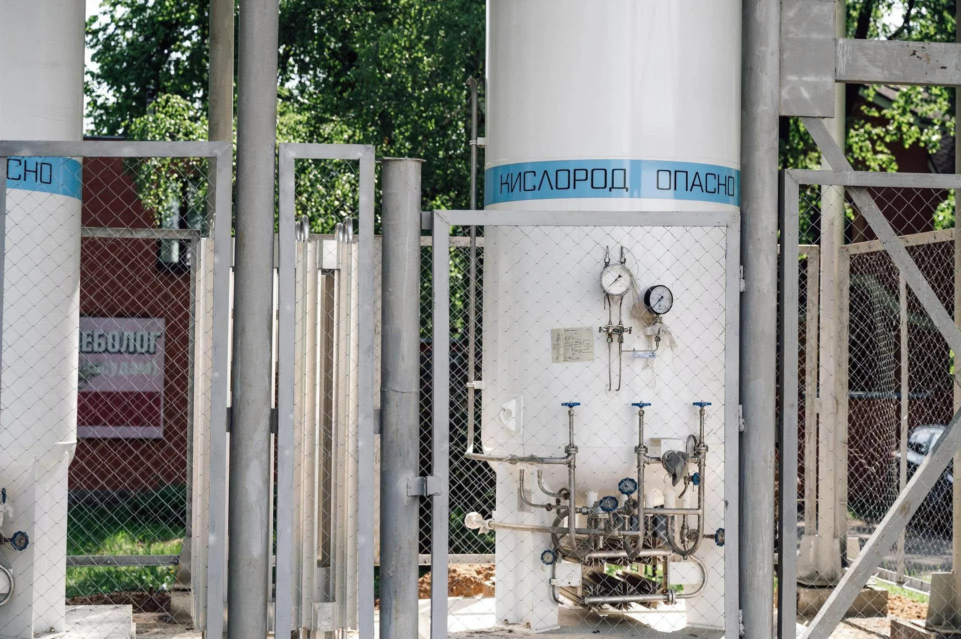 Фото: пресс-служба администрации г. о. Лосино-Петровский