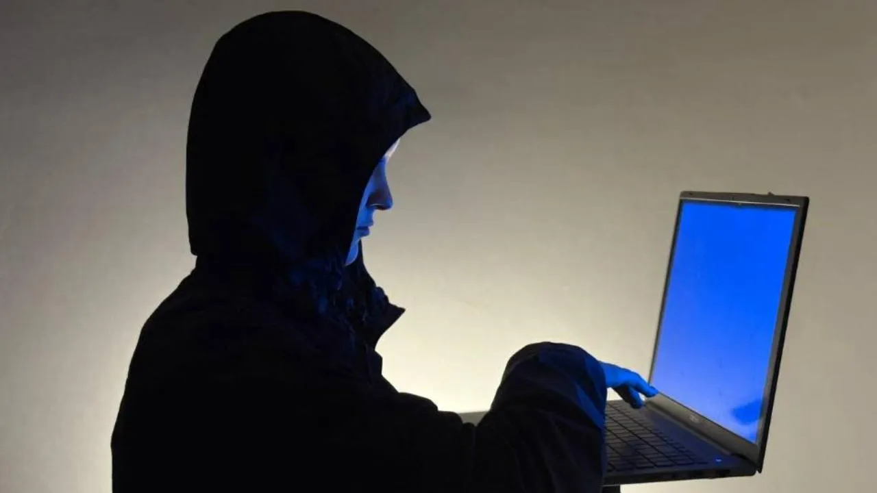 REGIONS/Полина Крачун