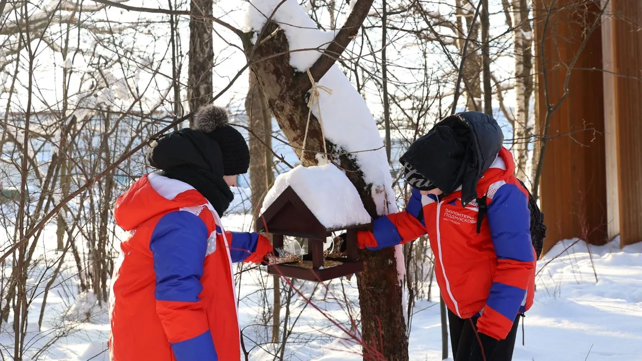 Фото: М. Алиев