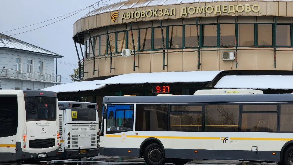 Фото: МедиаБанк Подмосковья/Анастасия Сараева
