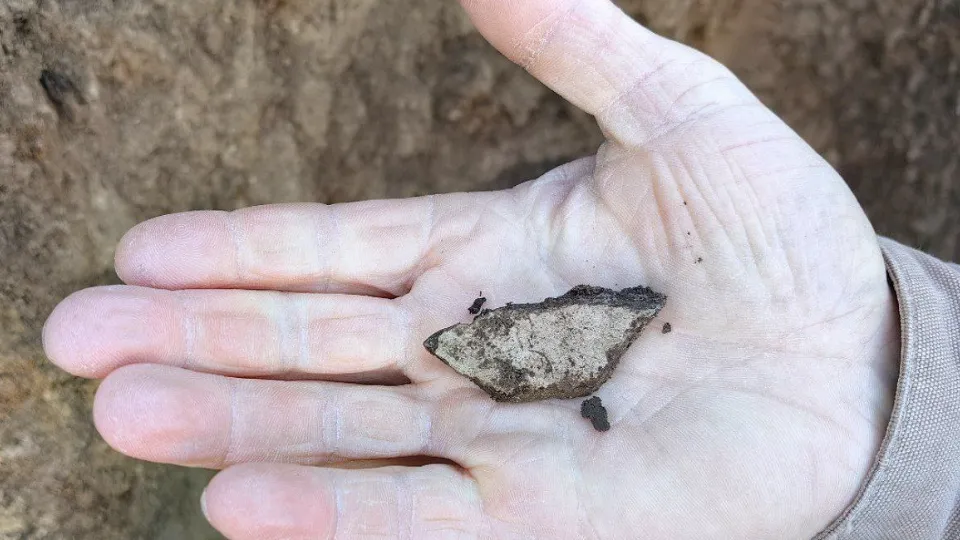 Фото: t.me/prodomodedovo