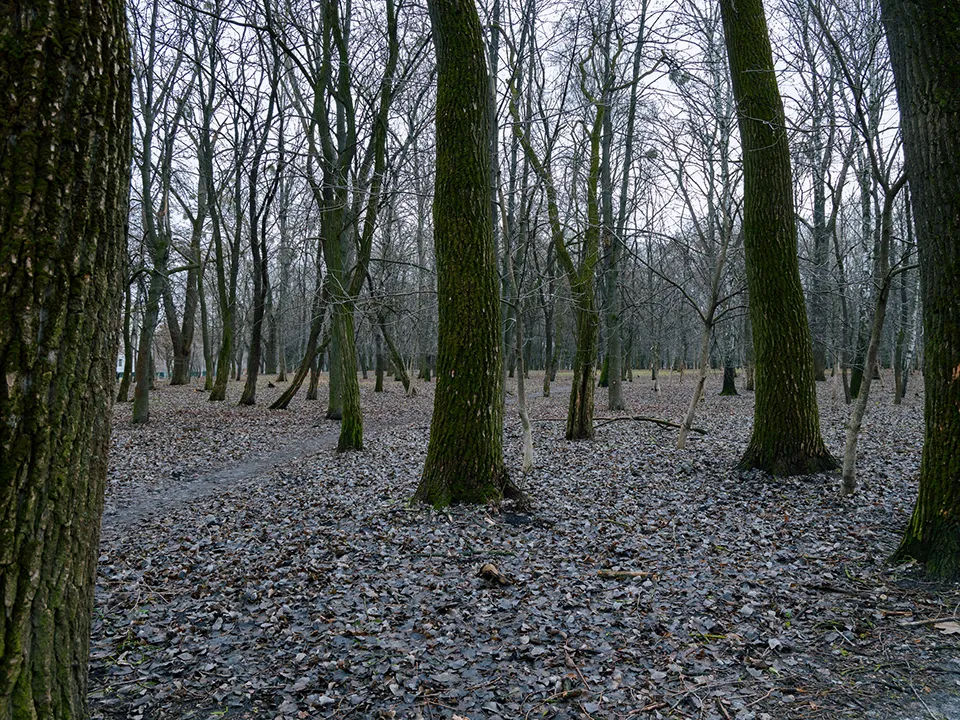 Фото: istockphoto.com/Artem Kniaz