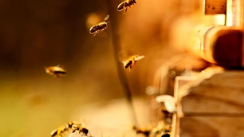 Depositphotos