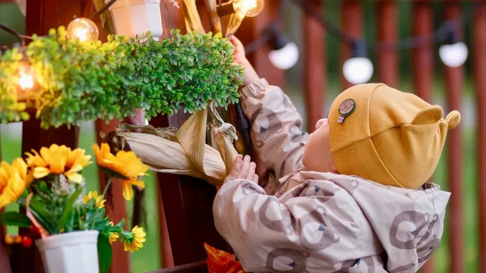 Фото: пресс-служба администрации г.о. Кашира