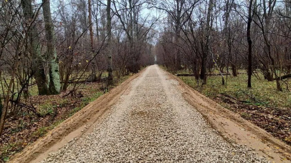 Фото: пресс-служба администрации г.о. Подольск