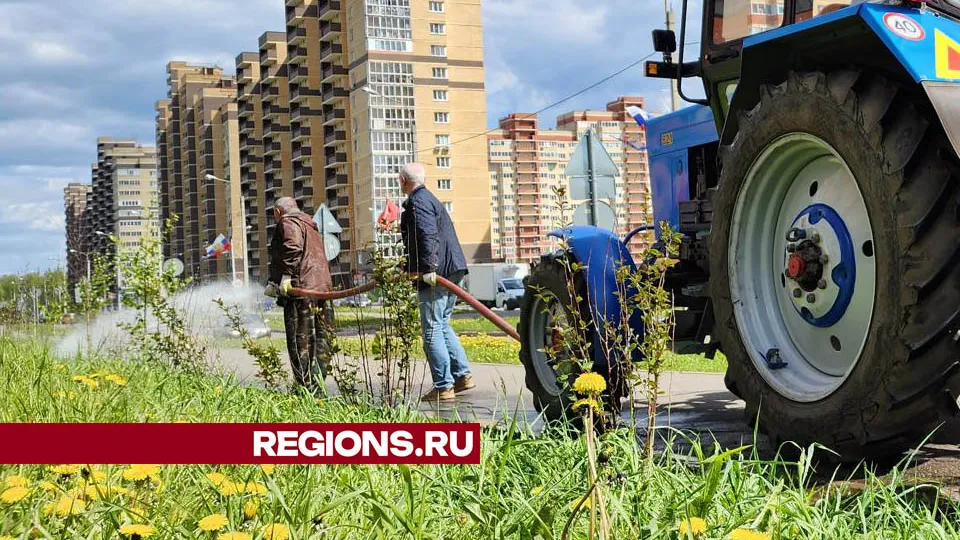 Фото: Валерия Тингаева