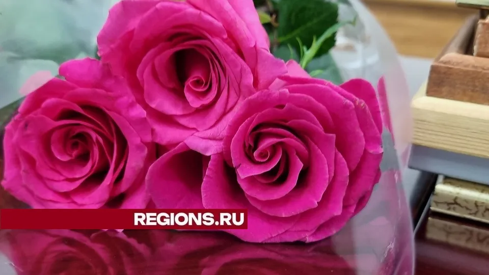 Фото: REGIONS/Александр Дрожжин