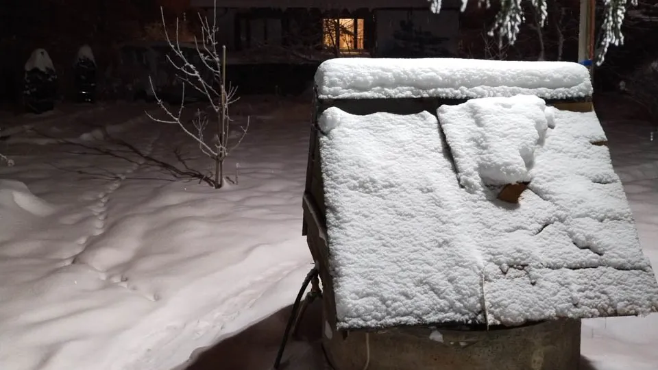 Фото: REGIONS/Роман Малышенко