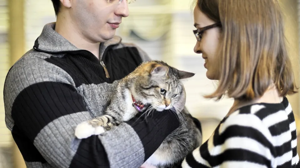 Фото: медиасток.рф