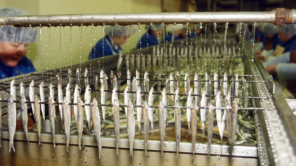 Фото: ITAR-TASS/Тимур Субханкулов