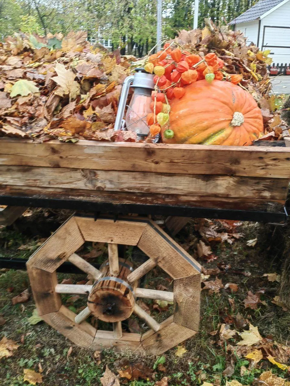 Фото: Парки Истры / ВКонтакте