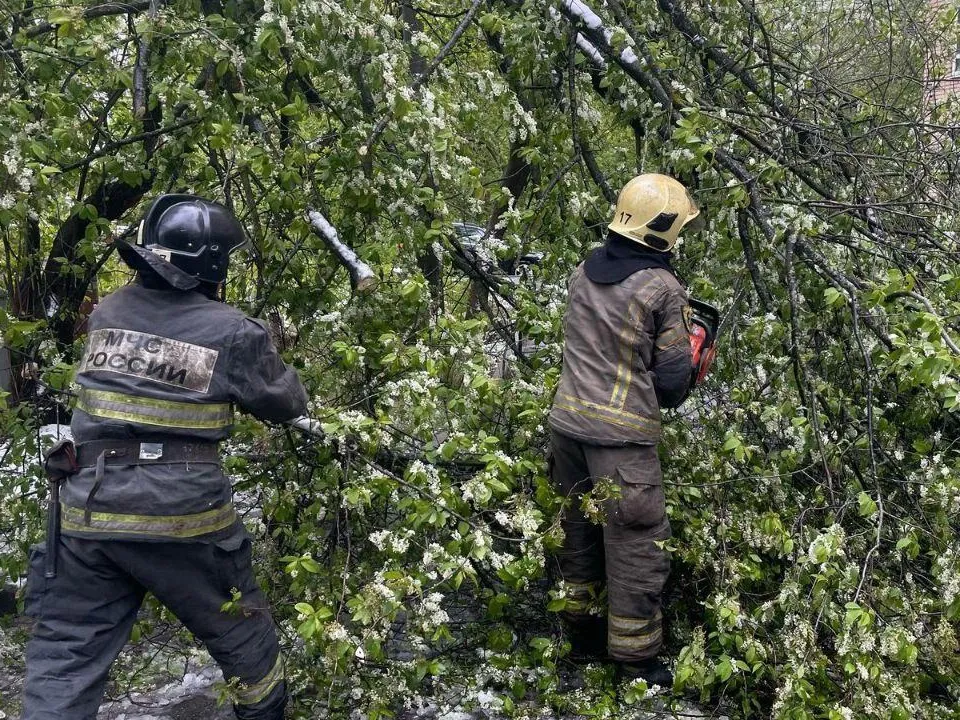 Фото: ГУ МЧС России по Московской области