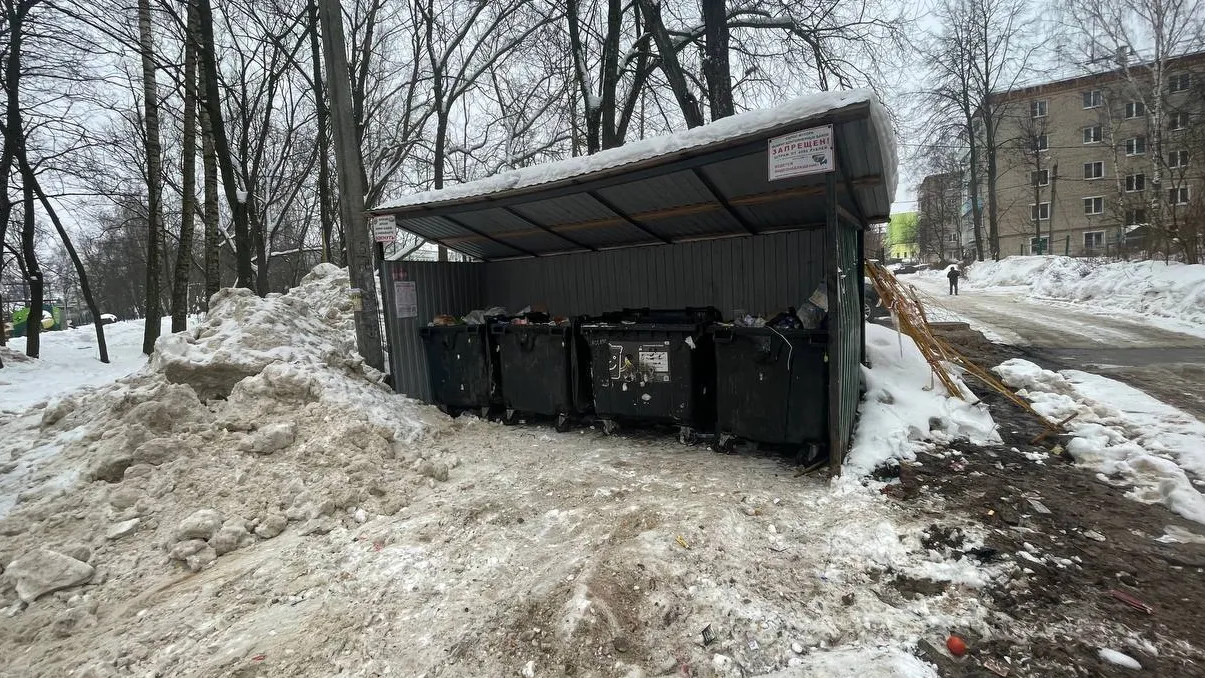 Фото: пресс-служба администрации Сергиево-Посадского г.о.