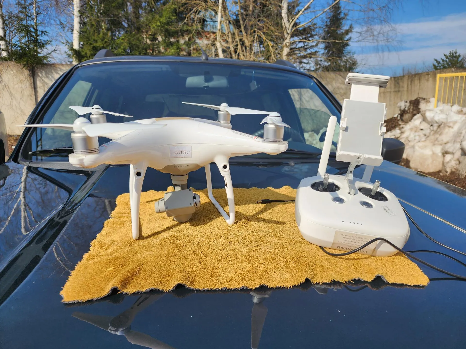 REGIONS/Елена Шумакова