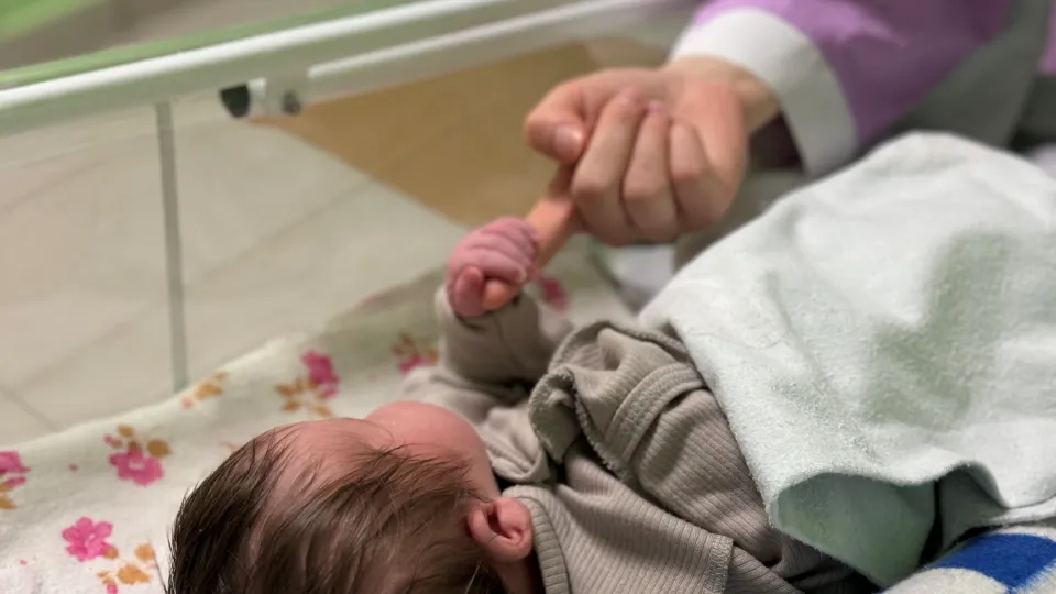 Фото: МедиаБанк Подмосковья/Полина Абраменко