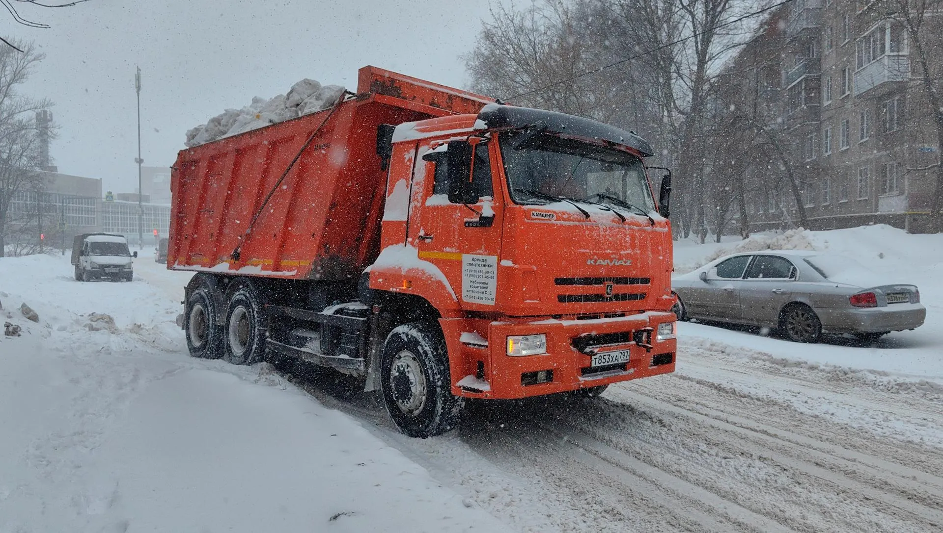 Елена Катасонова