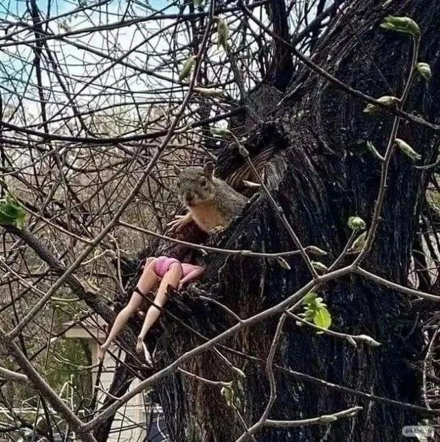 Фото: Истра, буря, безумие / Telegram