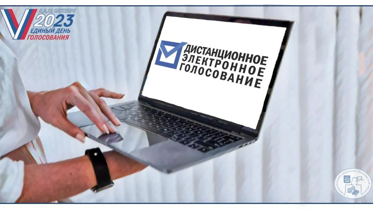 Жителям Подмосковья, зарегистрировавшимся для участия в ДЭГ, рассказали, как проголосовать