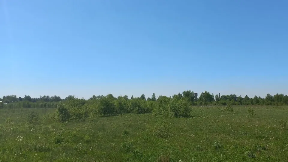 Фото: REGIONS/Олег Книжник