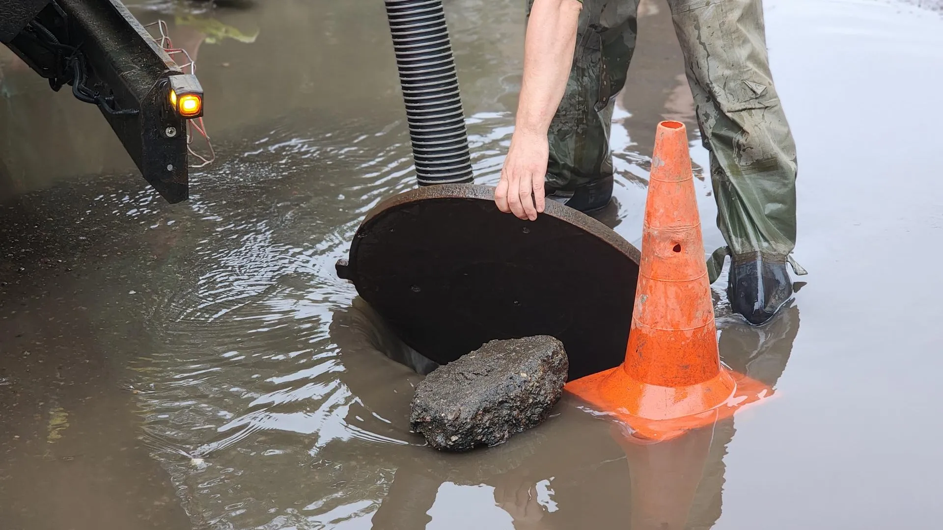 REGIONS/Елена Шумакова