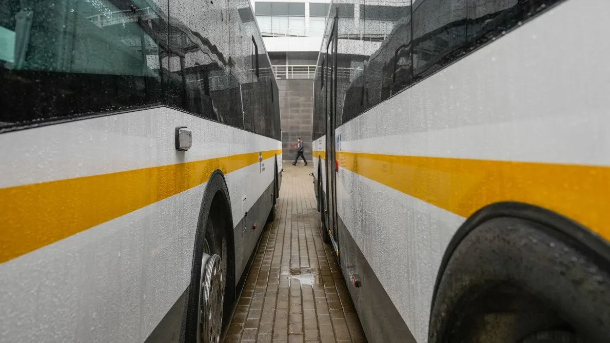 Фото: медиасток.рф