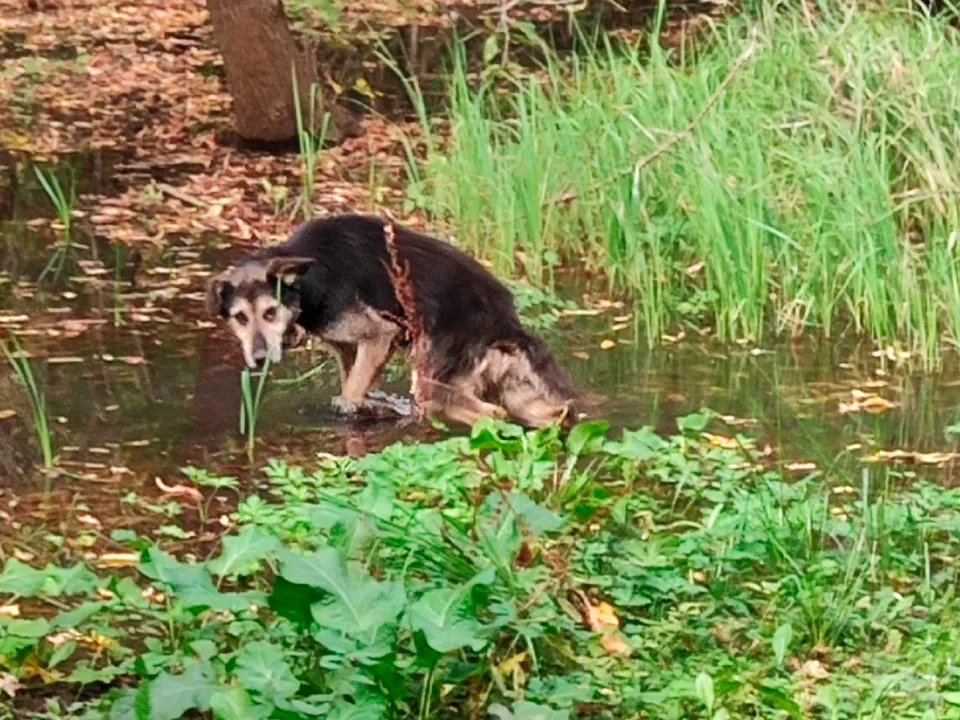 Фото: Эдуард Исхаков&nbsp;
